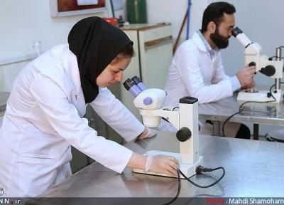 کشور های همسایه بهترین بازار برای خدمات آزمایشگاهی ایران هستند