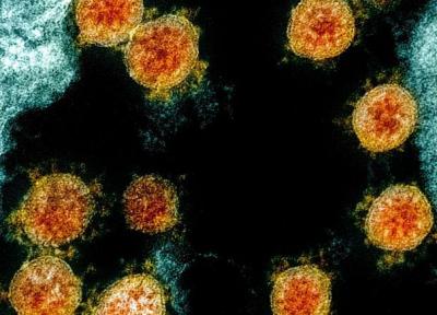 ویروس های جهش یافته کرونا؛ آنچه می دانیم و نمی دانیم