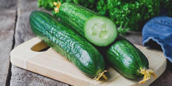 قیمت خیار در میادین میوه و تره بار کاهش یافت قیمت خیار در میادین میوه و تره بار کاهش یافت