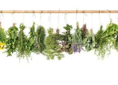 گیاهان دارویی برای کاهش وزن