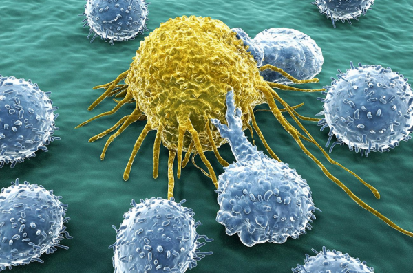 کشف مولکولِ تازه ای که سرطان های مقاوم به درمان را نابود می نماید